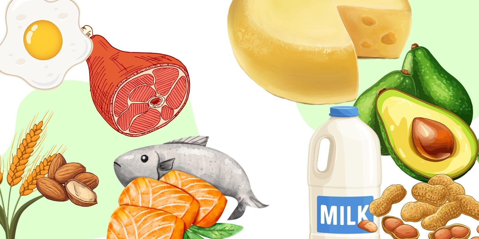 Was ist die biologische Wertigkeit?