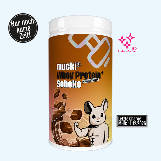 Whey Protein+ Schoko